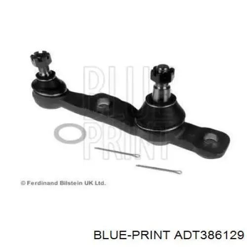 Rótula de suspensión inferior izquierda ADT386129 Blue Print