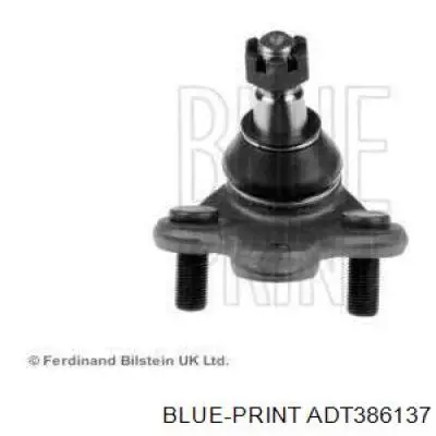 ADT386137 Blue Print