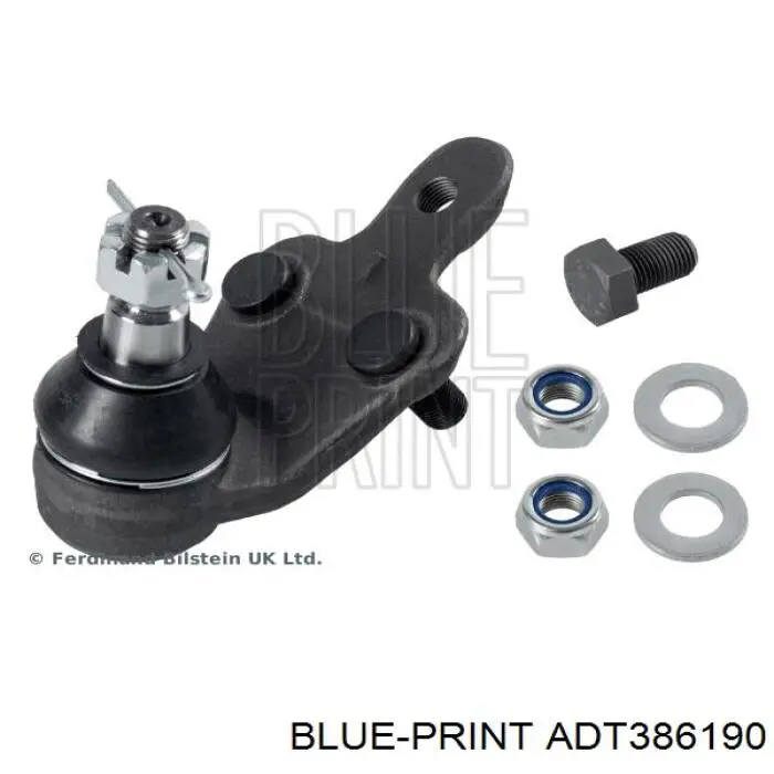 Нижняя правая шаровая опора RD993538113 Rider