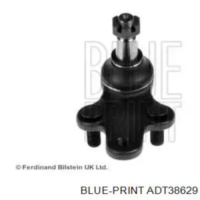 Нижняя правая шаровая опора ADT38629 Blue Print