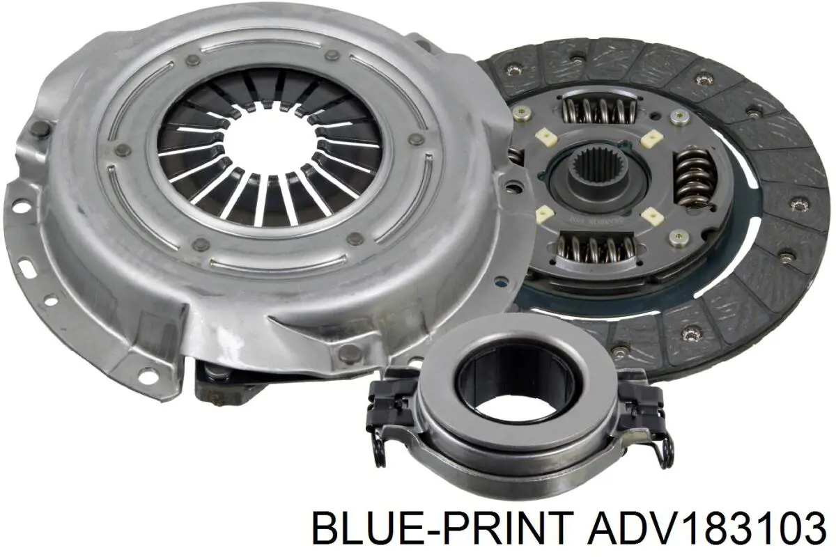 ADV183103 Blue Print