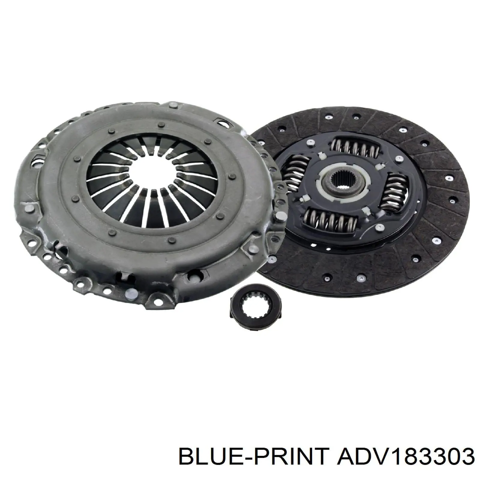 ADV183303 Blue Print