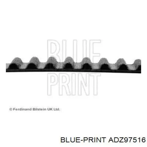 Correa distribucion ADZ97516 Blue Print