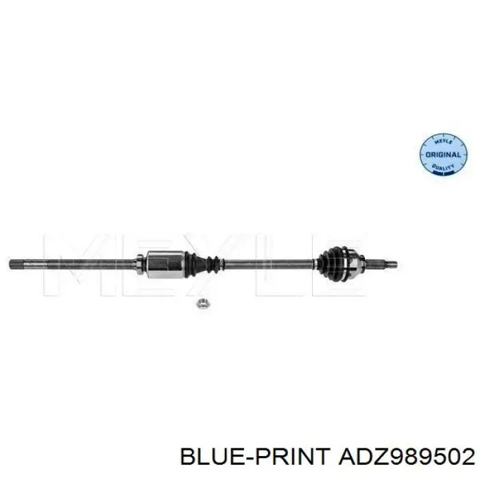  ADZ989502 Blue Print