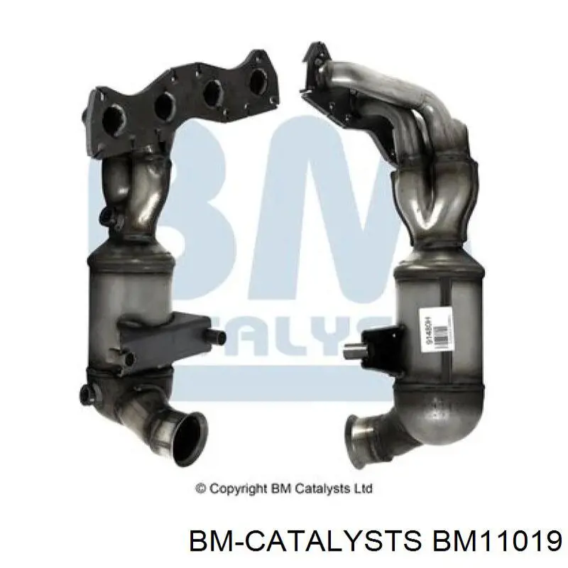  BM11019 BM Catalysts