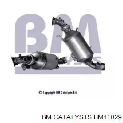 BM11029 BM Catalysts