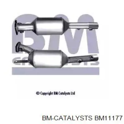 BM11177 BM Catalysts 