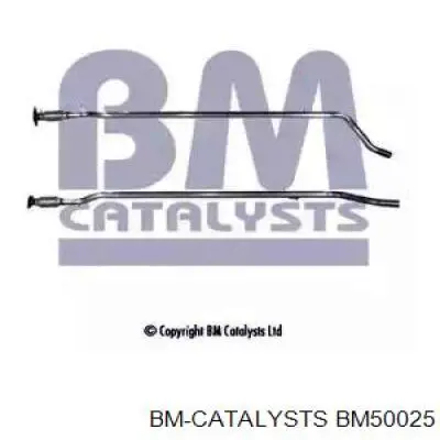  BM50025 BM Catalysts