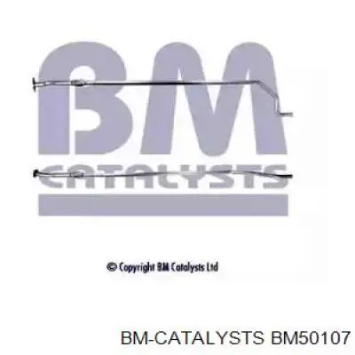 Глушитель, центральная часть BM50107 BM Catalysts