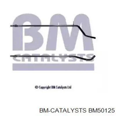 Глушитель, центральная часть BM50125 BM Catalysts