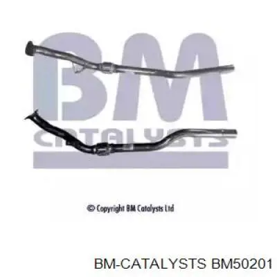 BM50201 BM Catalysts silenciador, parte central