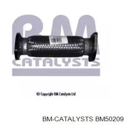  BM50209 BM Catalysts