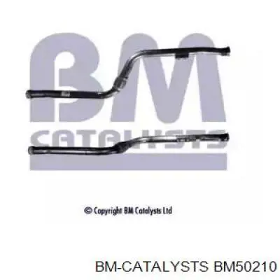  BM50210 BM Catalysts