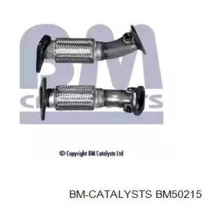  BM50215 BM Catalysts