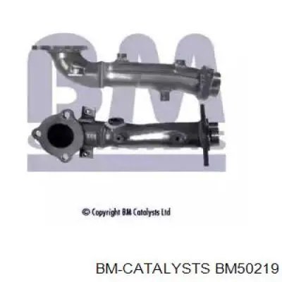 Глушитель, центральная часть BM50219 BM Catalysts