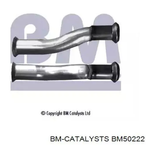 BM50222 BM Catalysts 