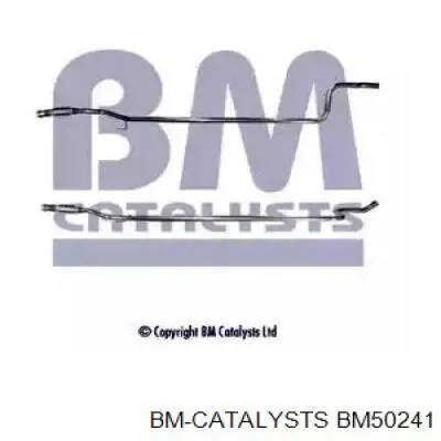 Глушитель, центральная часть BM50241 BM Catalysts