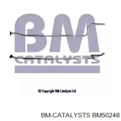 Глушитель, центральная часть BM50246 BM Catalysts