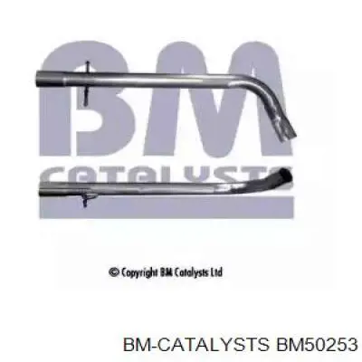  BM50253 BM Catalysts