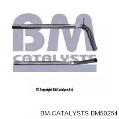 Центральная часть глушителя BM50254 BM Catalysts