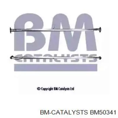 BM50341 BM Catalysts silenciador, parte central