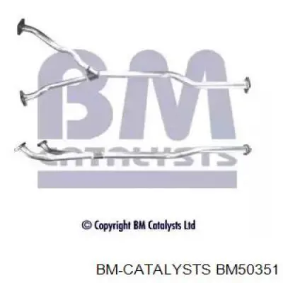 Глушитель, центральная часть BM50351 BM Catalysts