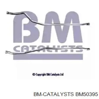 Глушитель, центральная часть BM50395 BM Catalysts