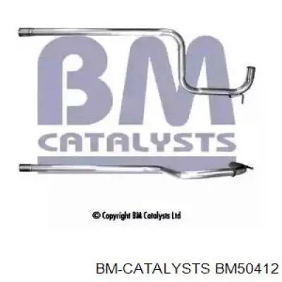 Глушитель, центральная часть BM50412 BM Catalysts