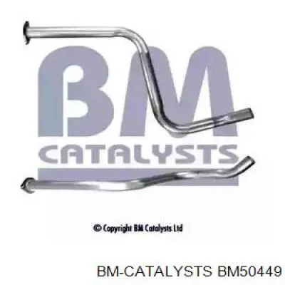 BM50449 BM Catalysts silenciador, parte central