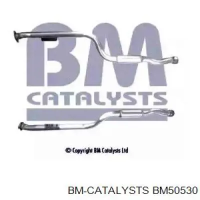 BM50530 BM Catalysts 