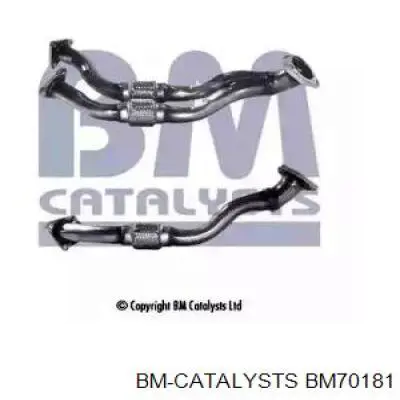 Приёмная труба BM70181 BM Catalysts