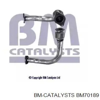 Приёмная труба BM70189 BM Catalysts