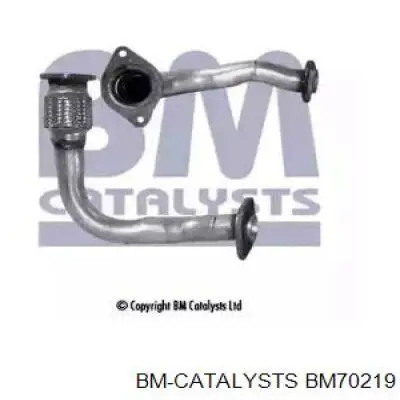 Приёмная труба BM70219 BM Catalysts