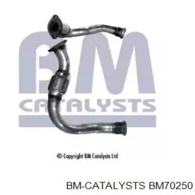 Приёмная труба BM70250 BM Catalysts