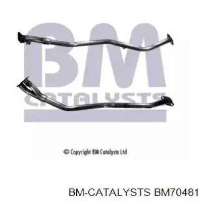 BM70481 BM Catalysts Штаны глушителя передние