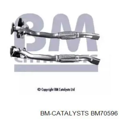 Центральная часть глушителя BM70596 BM Catalysts