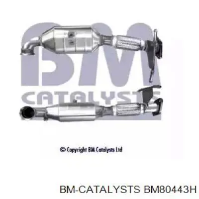 BM80443H BM Catalysts 