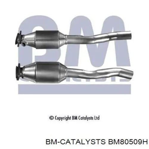 Каталитический нейтрализатор отработавших газов BM Catalysts BM80509H цена, от 259.90 USD