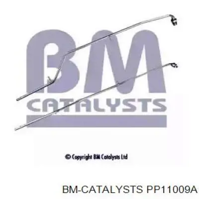  PP11009A BM Catalysts