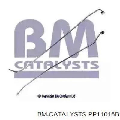  PP11016B BM Catalysts