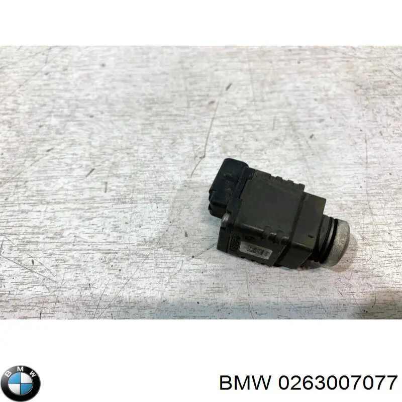  0263007077 BMW