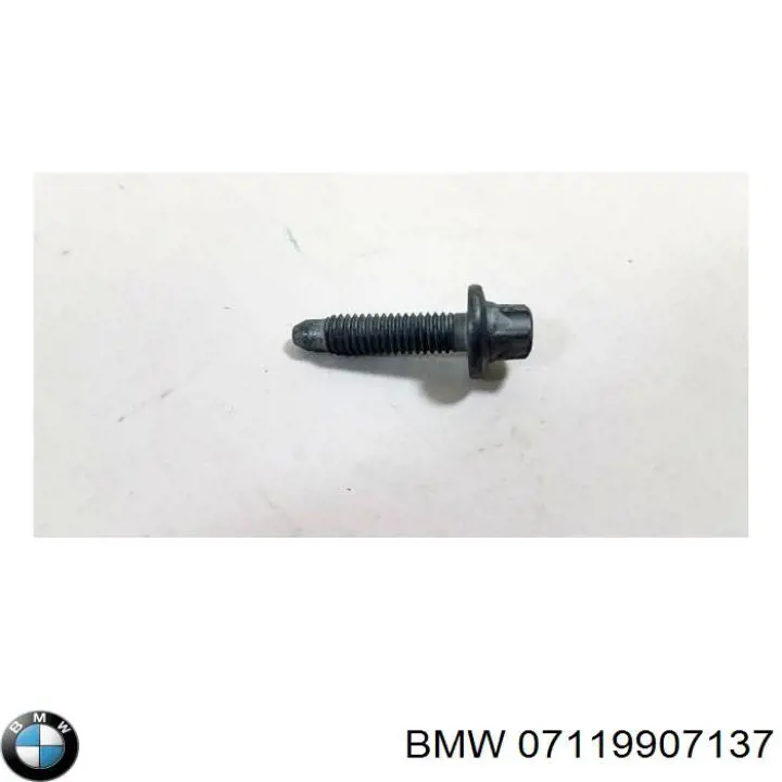  07119907137 BMW