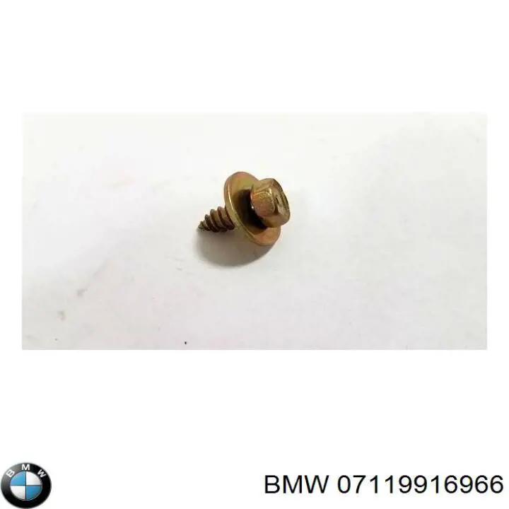  7119916966 BMW