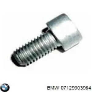 7129903984 BMW 