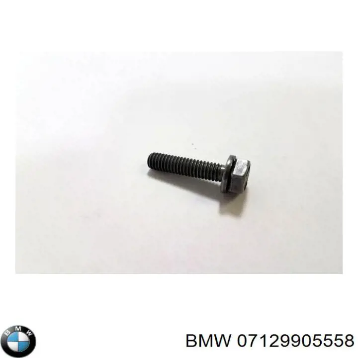 Купить 07129905558 BMW 