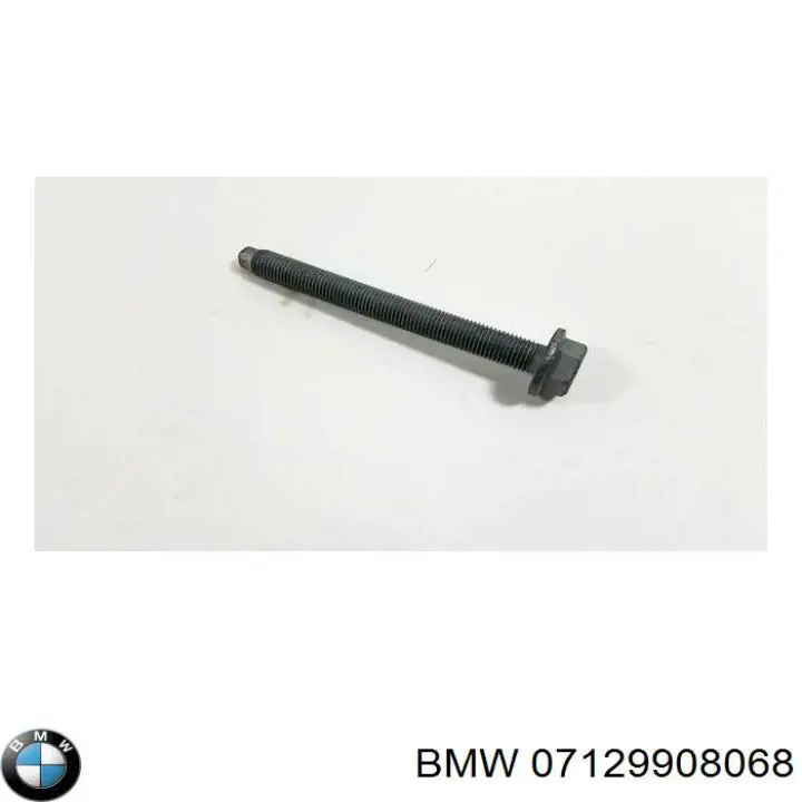 Болт крепления переднего рычага, нижнего BMW 07129908068