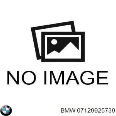Купить 07129925739 BMW 