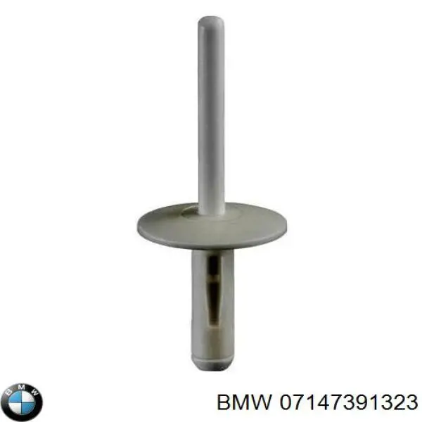 Braçadeira (cápsula) de fixação de moldura da porta para BMW X3 (F25)