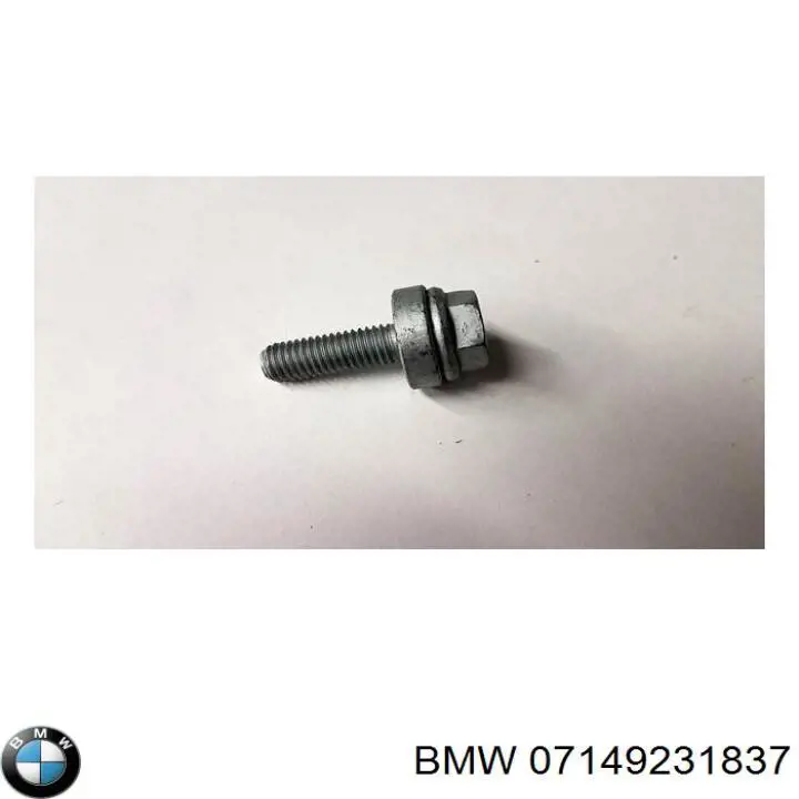  07149231837 BMW