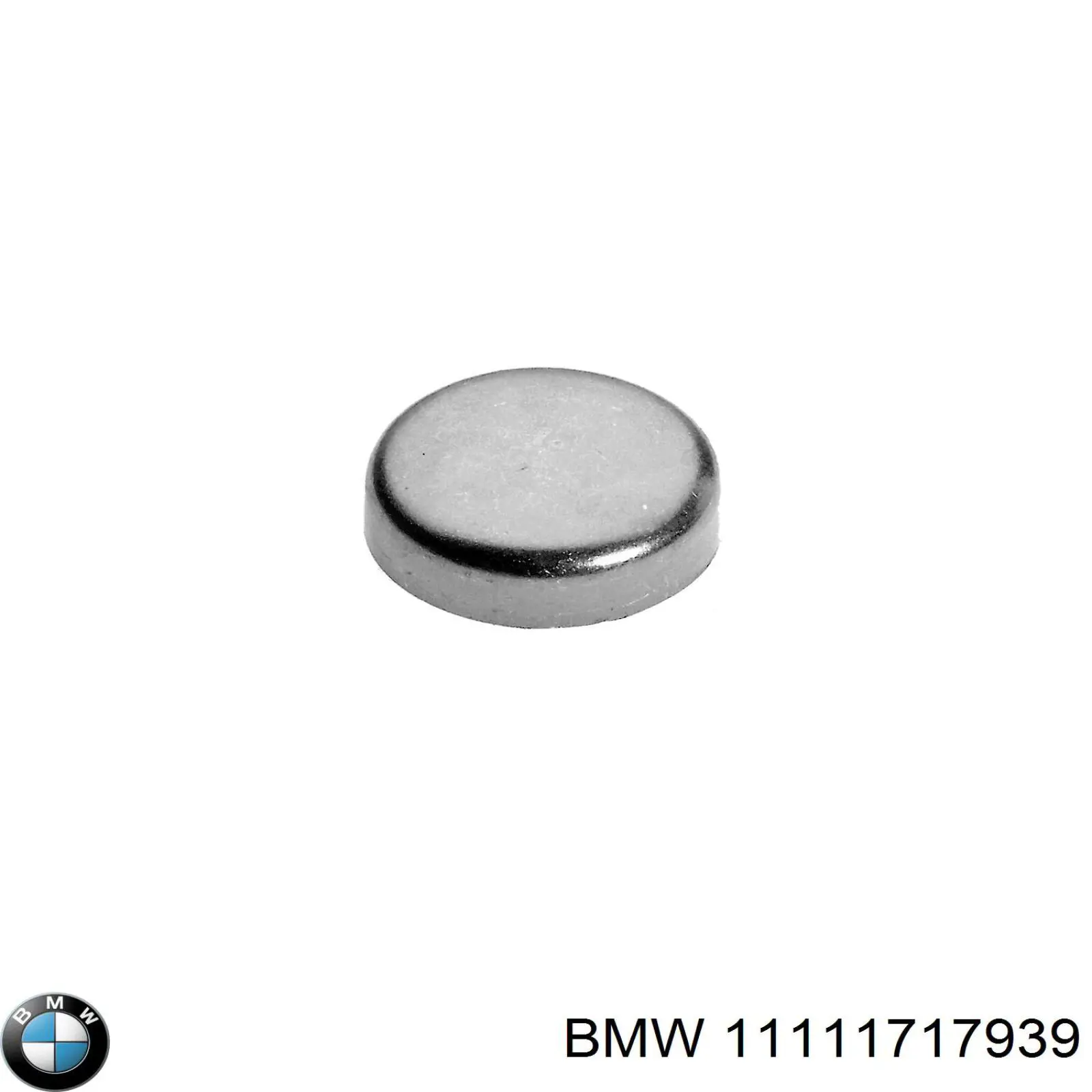11111717939 BMW заглушка гбц/блока цилиндров